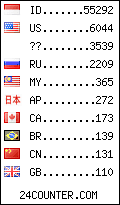 visitors by country counter