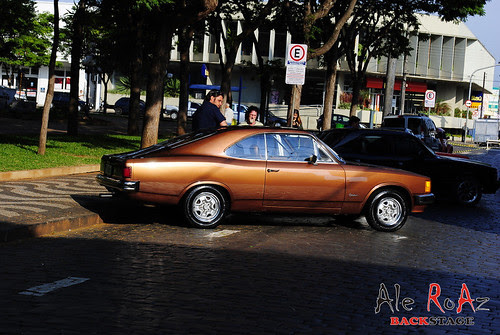 _DSC0051