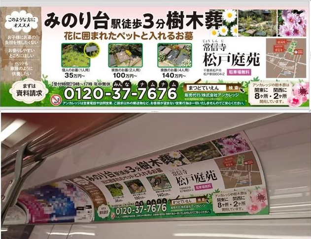 日本人要 绝种 了 老人工作到死 年轻人拒不生娃