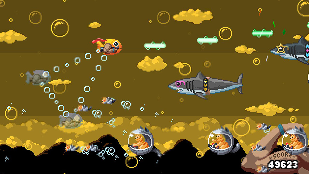 Shutshimi: Seriously Swole!