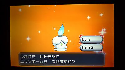 色ヒトモシ Xy 色ポケめも