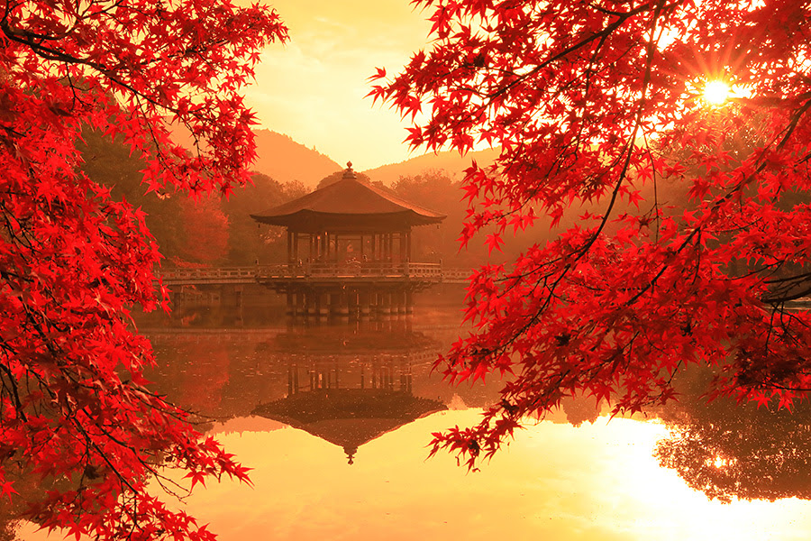 奈良 紅葉