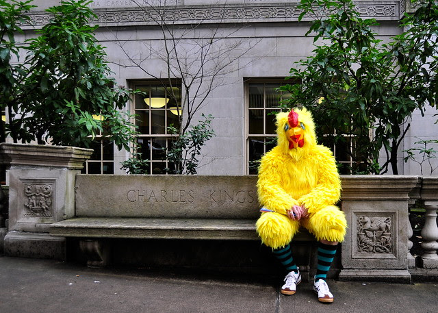 The Chicken seated