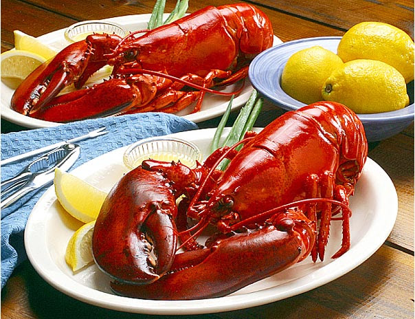 Lobster Termahal Lobster Termahal