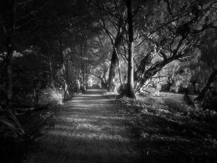 Enhancing your Black and White images with Infrared Photography