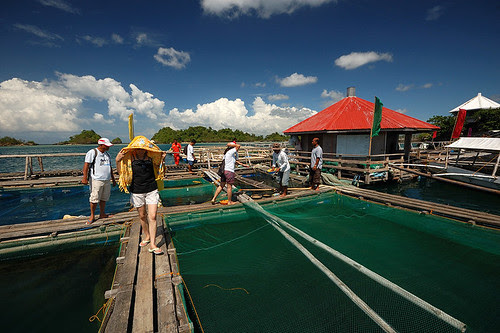 SEAFDEC Fish Cages