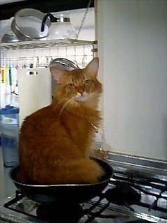 当店オススメ猫の丸焼きいかがですか シナリオ師からの