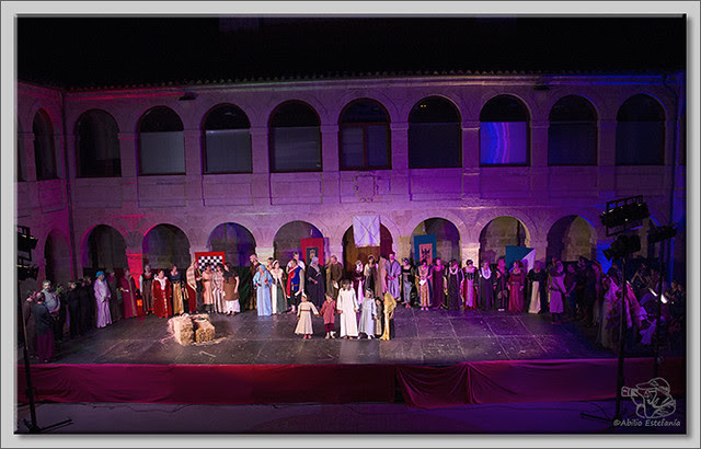 5 IMG_8619 2
