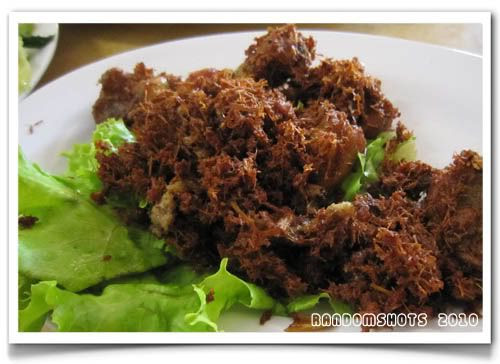 Fong Ting Siew,ribs