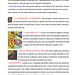 O Concreto Imaginário - Analise de Obra