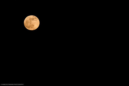 Blue Moon on New Year's Eve 2009