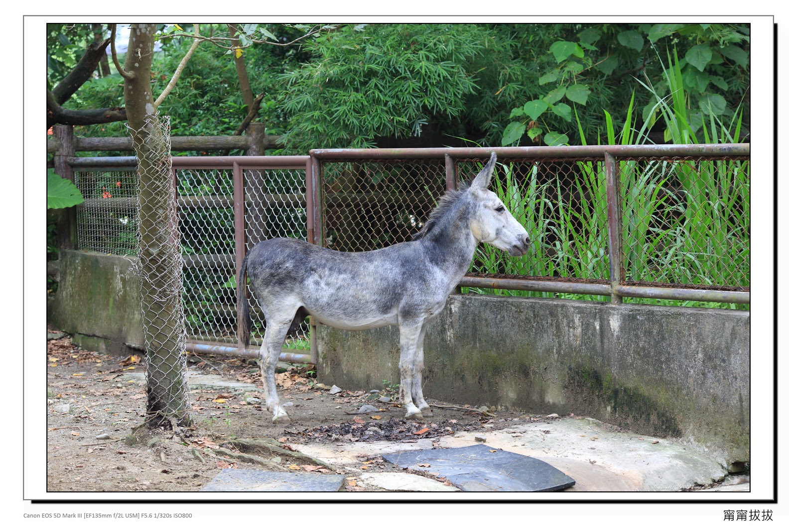 frame_BING8654
