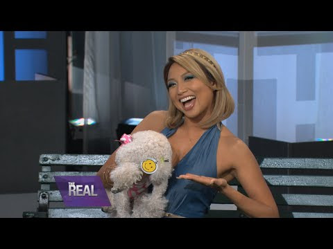 The Doggy Divas Are in the House You won't believe some of the fancy items they sell for dogs nowadays! Like the Pet Gear Clip-On High Chair that lets your pup sit ...
