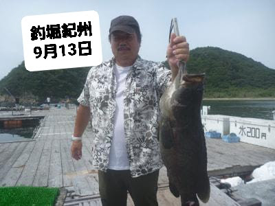 9月13日 釣果 血漬けカツオがおススメ 釣堀紀州 公式 釣堀紀州 和歌山 有田郡広川町の海上釣堀 釣り堀 紀州