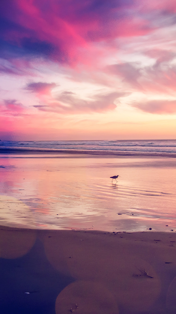 iPhone 6 wallpaper mv56 sunset beach bird red