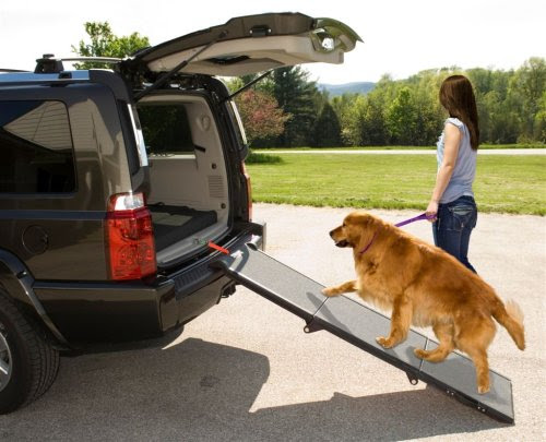 Pet Gear Tri-Fold Pet Ramp for cats and dogs up to 200-pounds, Grey