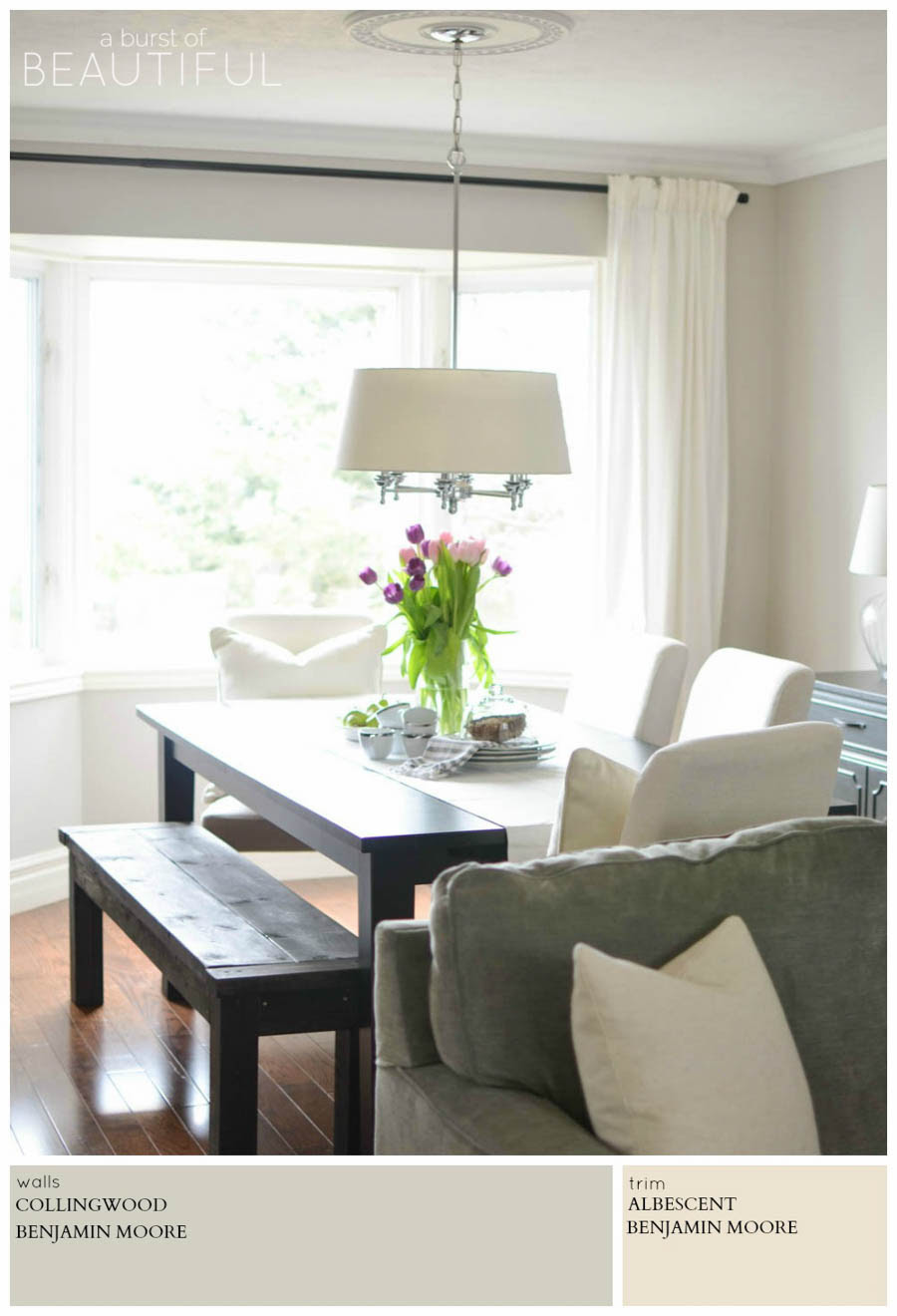 Modern Farmhouse Neutral Paint Colors - A Burst of Beautiful