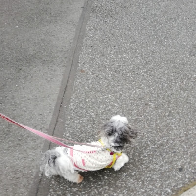 ちばたりあんな