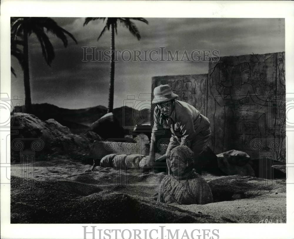 Image1