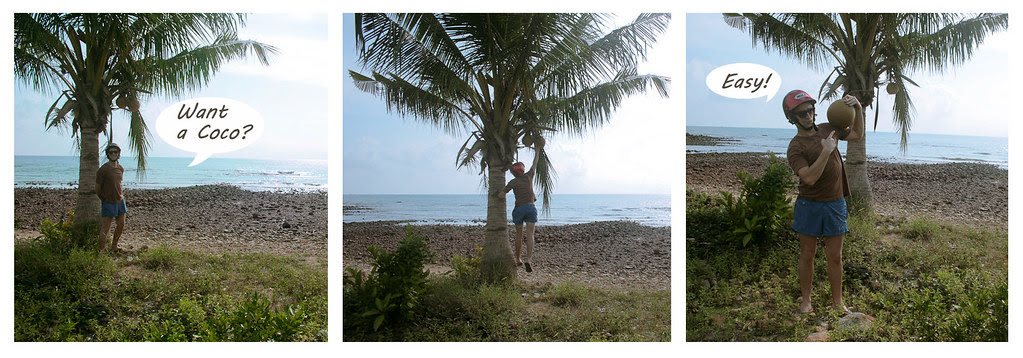 How to get a coco.