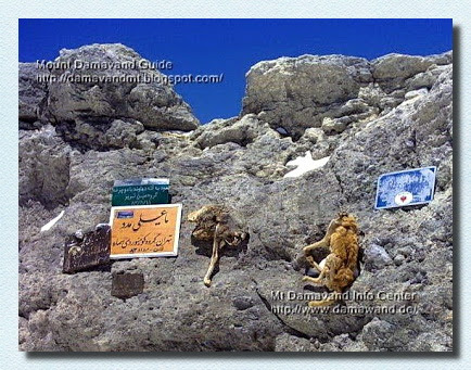Mt Damavand Dead Animals