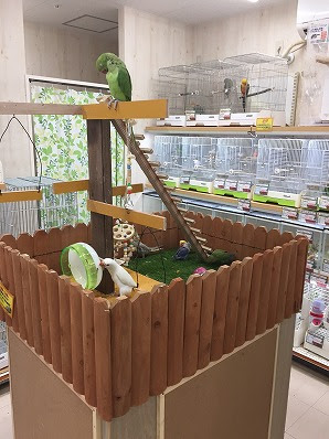 Kbo ペットプラザ外環新石切店 カミハタビジネスオンライン
