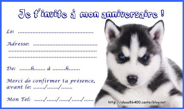 Carte Invitation Chien Husky 04