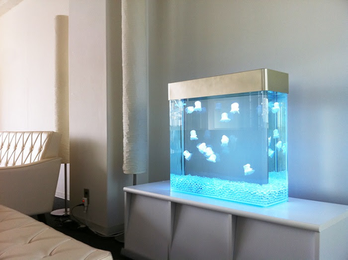 クラゲと人工クラゲについて