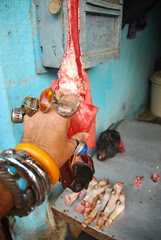 This Poet Is Dead Meat by firoze shakir photographerno1