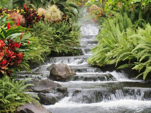 photography pictures of nature. Examples of Nature Photography