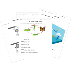 Printable Sixth Grade (Grade 6) Tests, Worksheets, and Activities