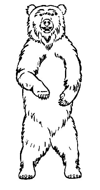Black Bear Drawing | Free download on ClipArtMag
