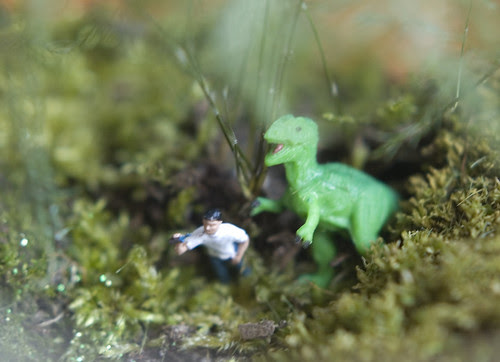 terrarium7