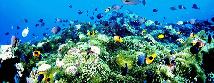 places to visit before you die (14)