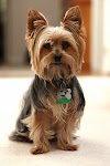 Haircut Pictures - How to Talk to Your Barber to Get Your Dream Haircut | 99 ... : Maybe you would like to learn more about one of these?