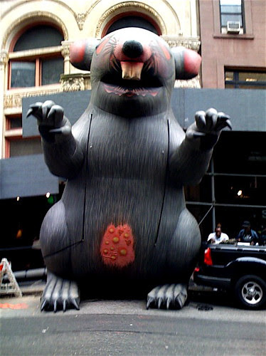 The Giant Inflatable Rat