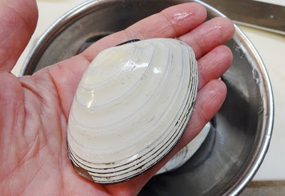 白貝の砂抜き時間は 調理方法や食べ方と簡単な酒蒸しレシピ 主婦よね子のブログ