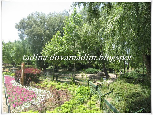 bursa hayvanat bahçesi