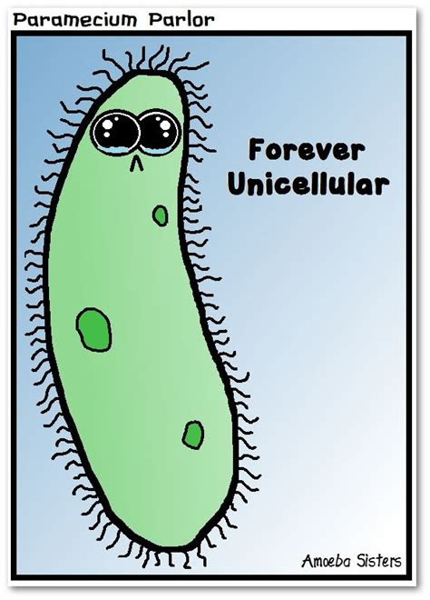 paramecium parlor comics science   amoeba sisters