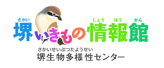 いきもの動画集 堺いきもの情報館 堺生物多様性センター