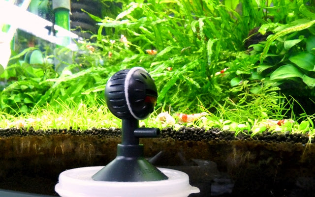 エーハイムのエアーディフューザーです ヒカリの国のアクア