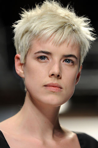 on Agyness Deyn's hair