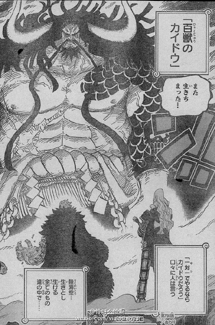 Chapter 795 Spoilers Onepiece