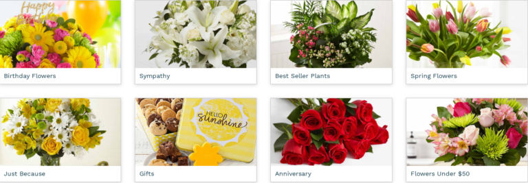Updated {50+} 10 Off Proflowers Coupon Code Aug' 2021 {Free Delivery}