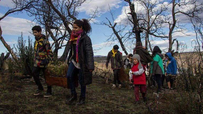 Niños y jóvenes plantaron cipreses en los bosques quemados de Cholila