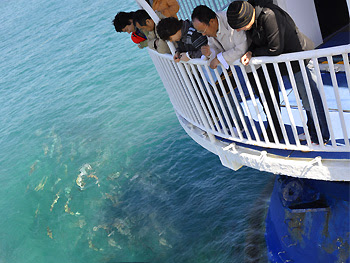 海中展望塔 串本海中公園 海と水族館を丸ごと楽しめる複合施設