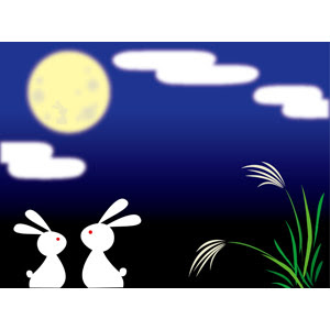 兎 ウサギ Gahag 著作権フリー写真 イラスト素材集