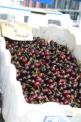 First season cherries!