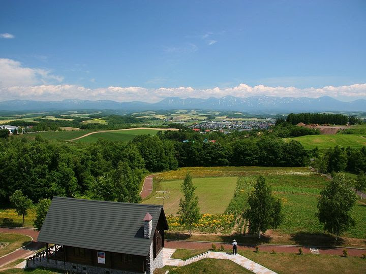 美瑛 富良野エリア 北西の丘展望台