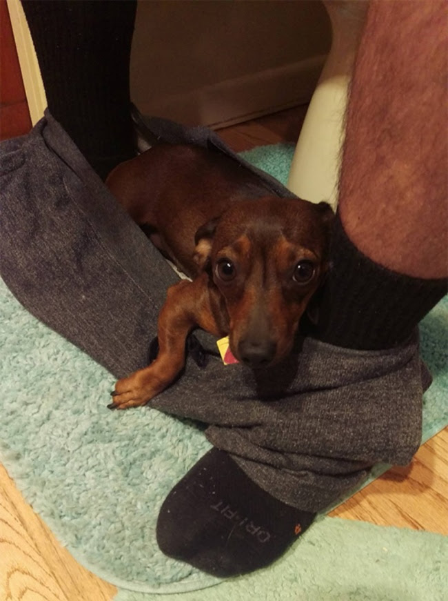 3555-650-1450180139-phpqGr6i9